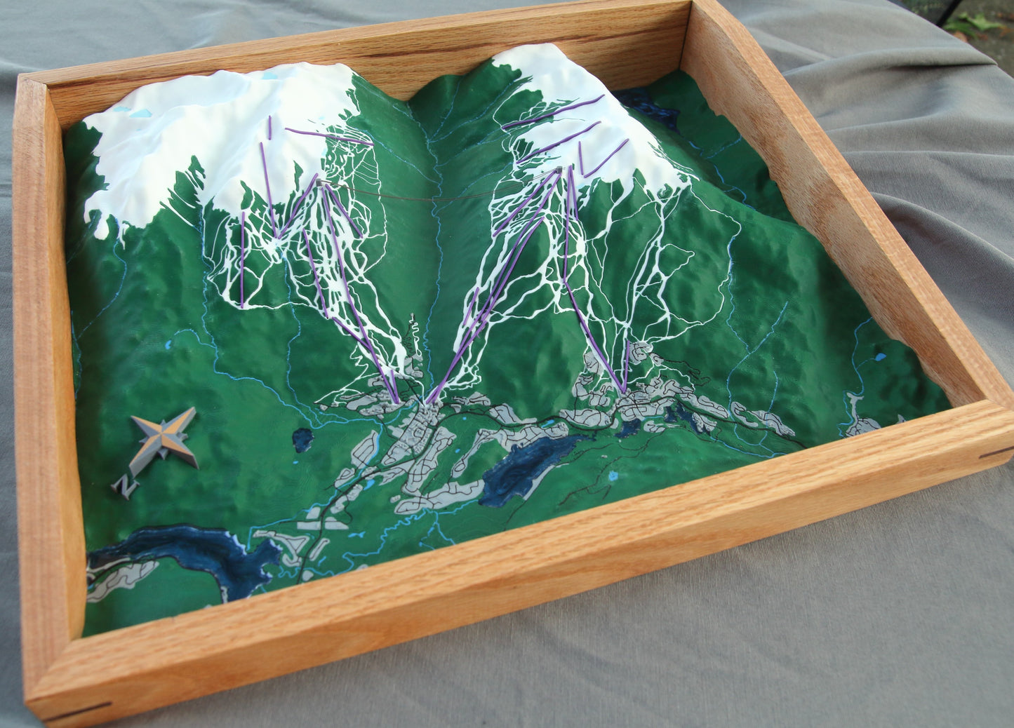Whistler Blackcomb 3D Map