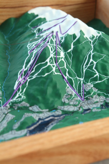 Whistler Blackcomb 3D Map