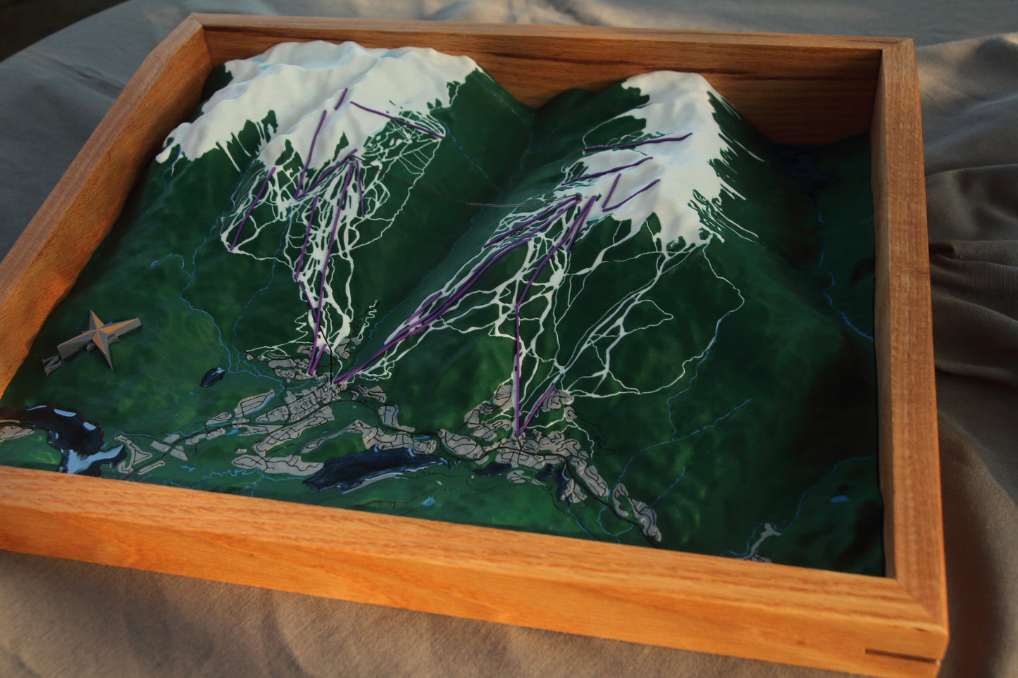 Custom 3D topographical map