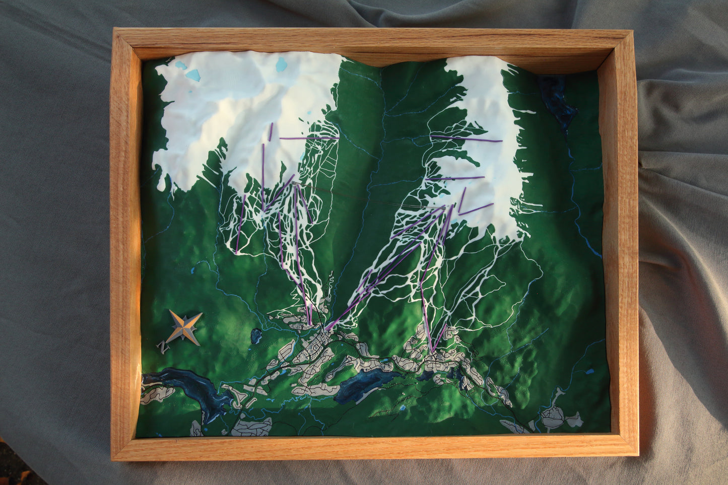 Whistler Blackcomb 3D Map