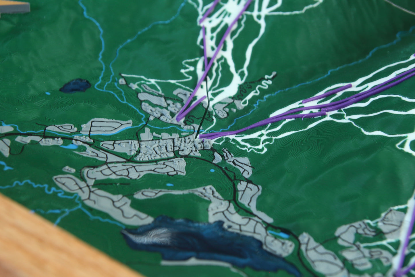 Whistler Blackcomb 3D Map