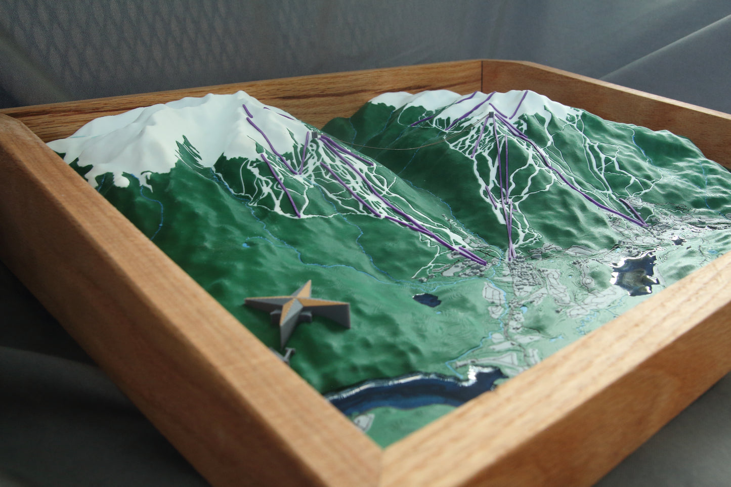 Whistler Blackcomb 3D Map