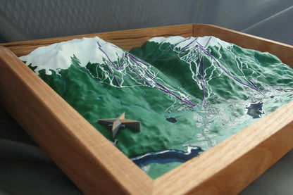 Whistler Blackcomb 3D Map