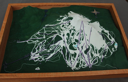 Mammoth Mountain 3D Map