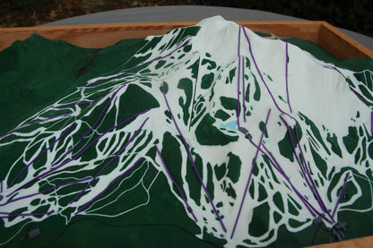 Mammoth Mountain 3D Map