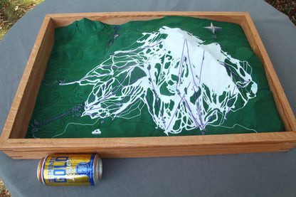 Mammoth Mountain 3D Map