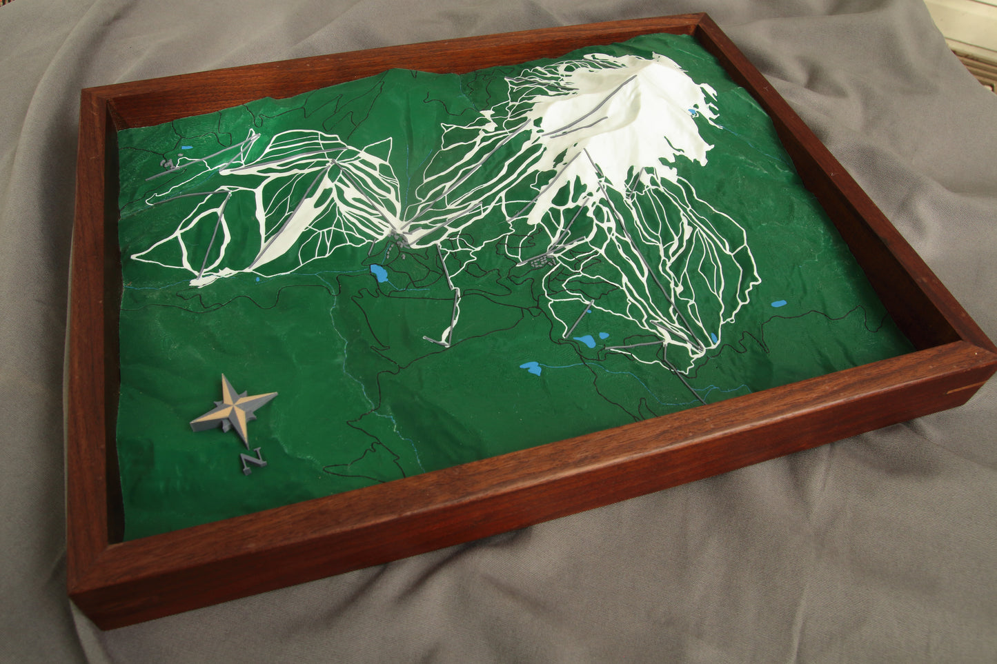 Custom 3D topographical map