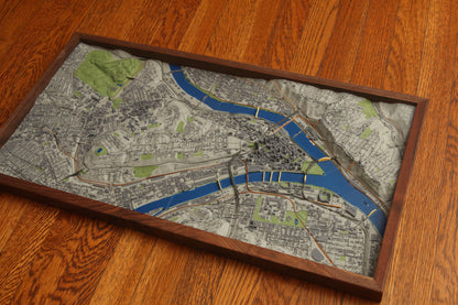 Pittsburgh 3D Topographic Map
