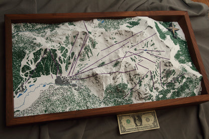 Tahoe Palisades / Olympic Valley 3D Map