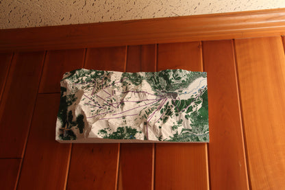 Tahoe Palisades / Olympic Valley 3D Map