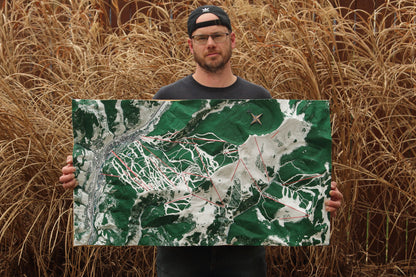 Custom 3D topographical map